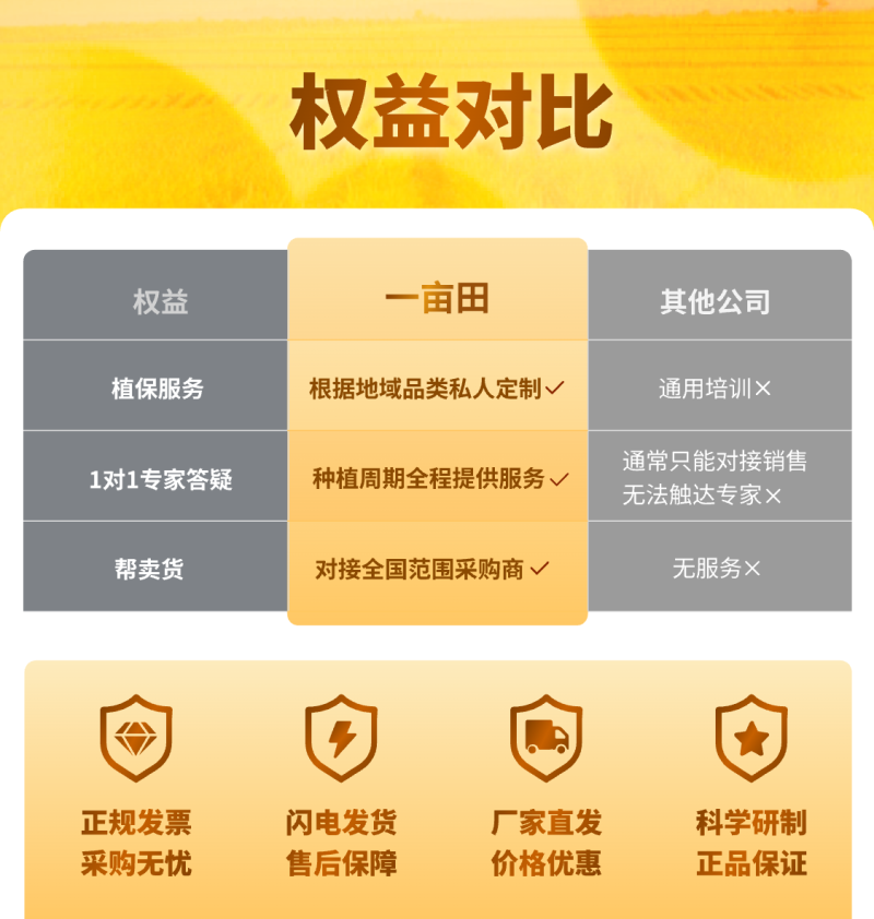 逸多硼猕猴桃柑橘棉花有机流体硼微量元素水溶肥