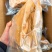 水褪驴皮口感好品质好货源充足量大从优货发全国