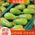 优选青茄河南青茄子大量现货对接全国各大市场