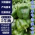 圆椒安阳产地直发品质好货源充足对接全国市场