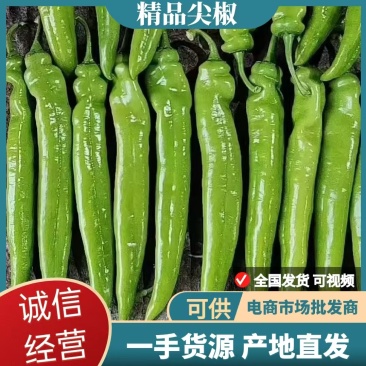 尖椒辣椒个头大河南产地直发货发全国市场批发