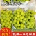 【葡萄】阳光玫瑰砀山阳光玫瑰万亩基地持续供应