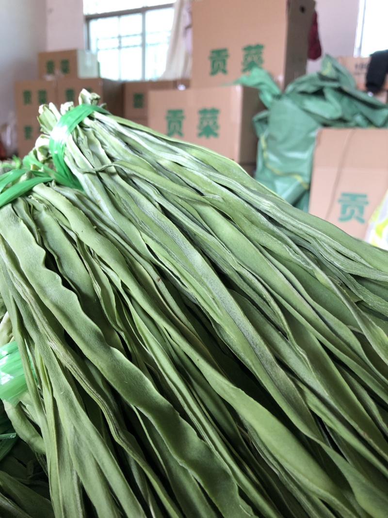 【二级】优质二级贡菜干品质保障代发全国欢迎致电
