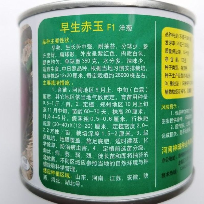 早熟早生赤玉洋葱种子扁球形杂交紫红皮洋葱耐抽苔