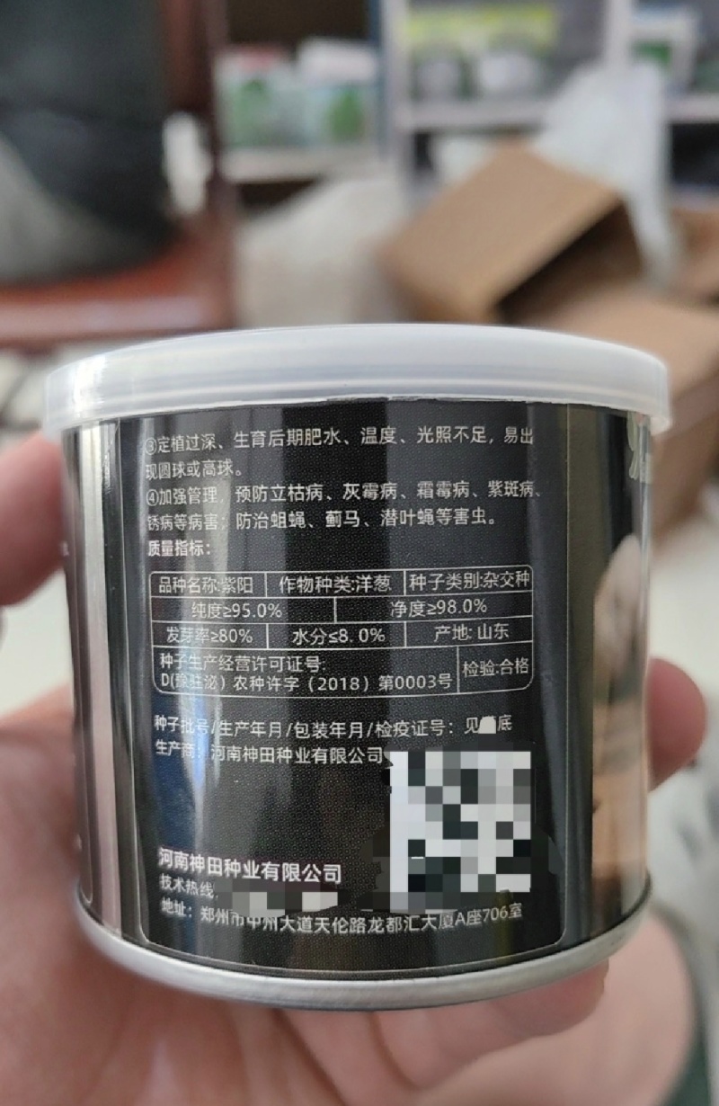 紫阳洋葱种子早熟扁球形洋葱耐抽苔分球少整齐度好甜脆