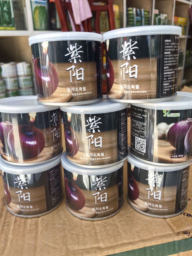 紫阳洋葱种子早熟扁球形洋葱耐抽苔分球少整齐度好甜脆