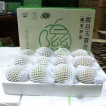 雨露香梨临汾万亩基地精品礼盒装电商一件代发电联