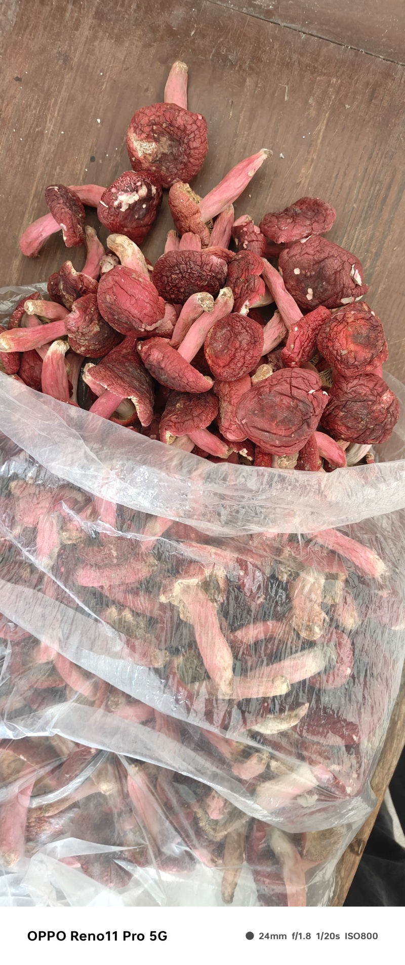 干红菇广西红菇货源充足，品质如图诚信经营欢迎咨询