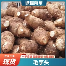 【热卖】山东芋头精品毛芋头产地直发可视频看货欢迎