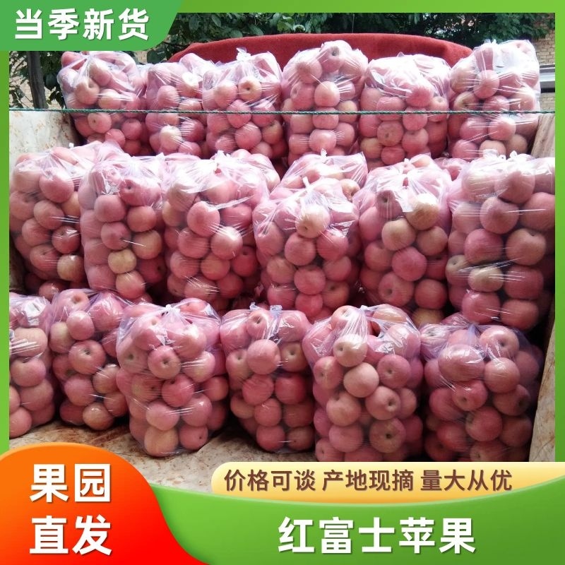 【苹果】正宗陕西红富士皮薄多汁膜袋纸袋规格齐全全国发货