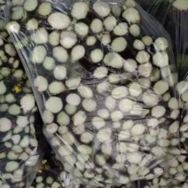 红菜苔800万斤一手货源价格优惠对接全国欢迎咨询