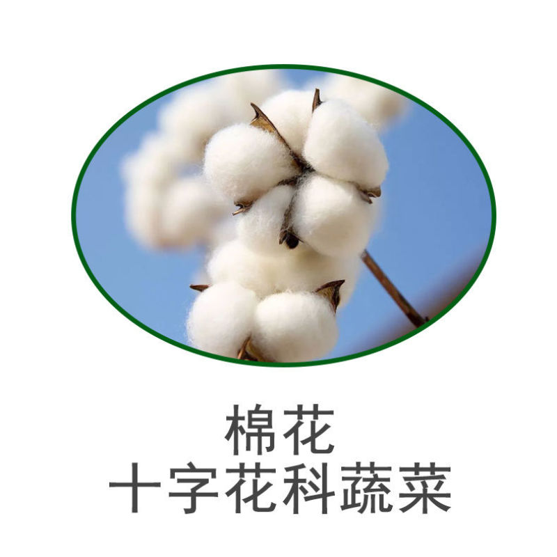 鲁抗丙溴辛硫磷丙溴磷正品棉铃虫菜青虫专用强效农用打虫药正