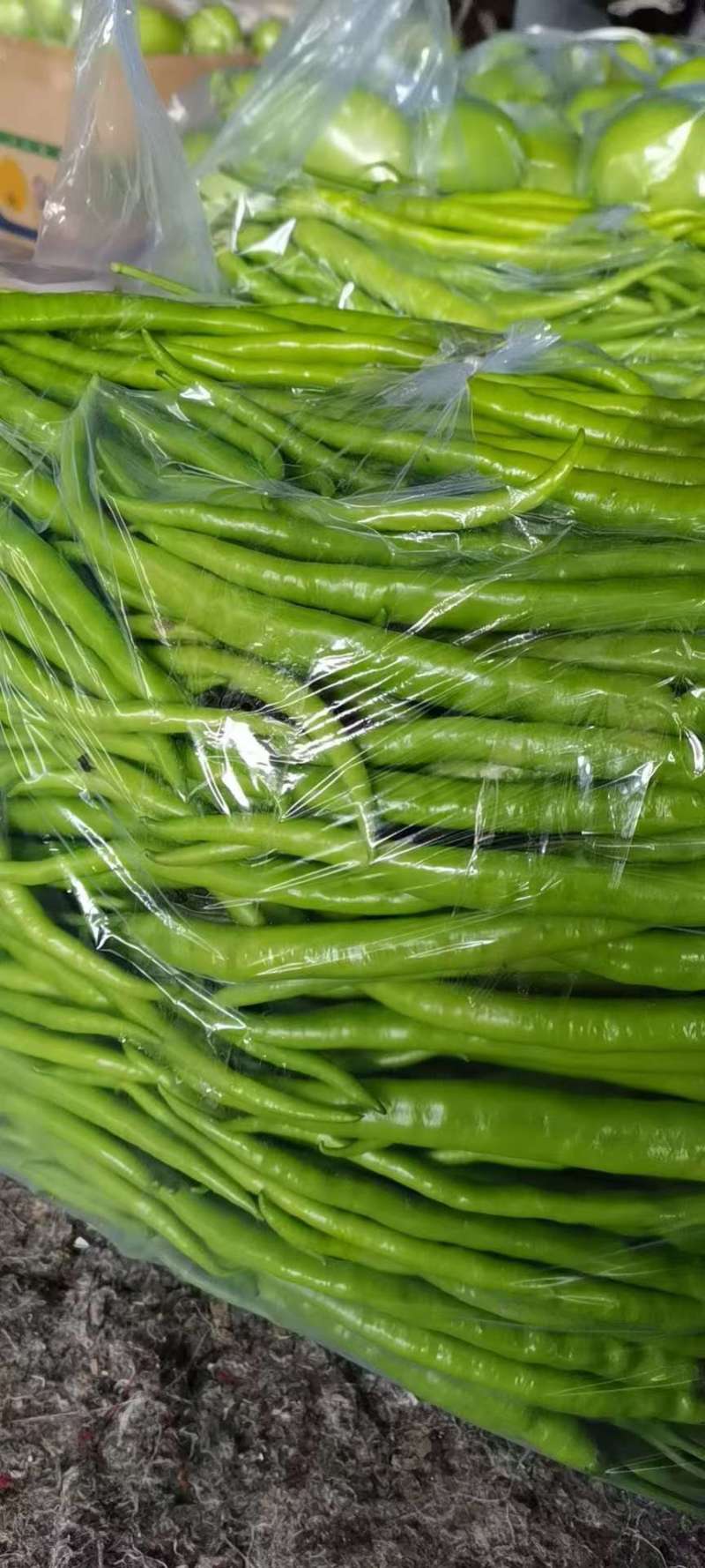 精品线椒，【二荆条辣椒】，货源充足，量大从优，品质保障