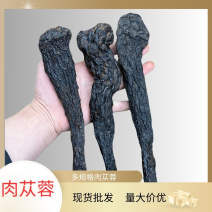 正宗肉苁蓉500g整根散装现货多规格批发产地直发量大价优