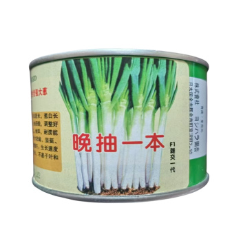 晚抽一本钢葱种子杂交一代日本进口抽苔晚耐寒涝高产大葱种子