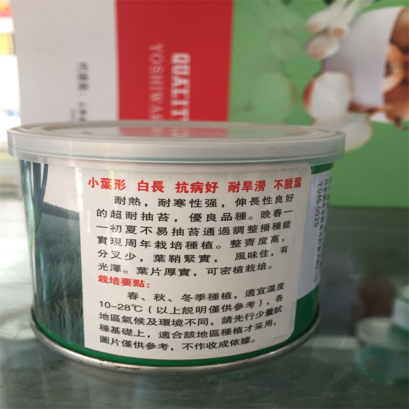状元短叶钢葱种子杂交一代大葱种子耐抽苔小叶形耐热分叉少