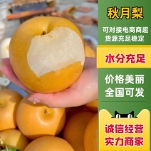 秋月梨安徽砀山梨口感脆甜糖度高果面干净对接全国
