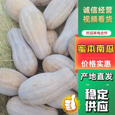 金韩密本南瓜万亩基地现货直发长条形南瓜色鲜靓价美
