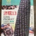 黑甜糯玉米种子，大田作物，南北通种欢迎老板咨询