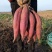 秦薯5号陕西板栗红薯面甜无丝量大从优软糯香甜对接全国
