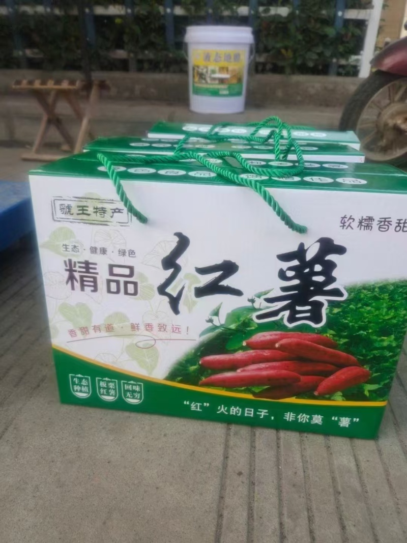 秦薯5号陕西板栗红薯面甜无丝量大从优软糯香甜对接全国