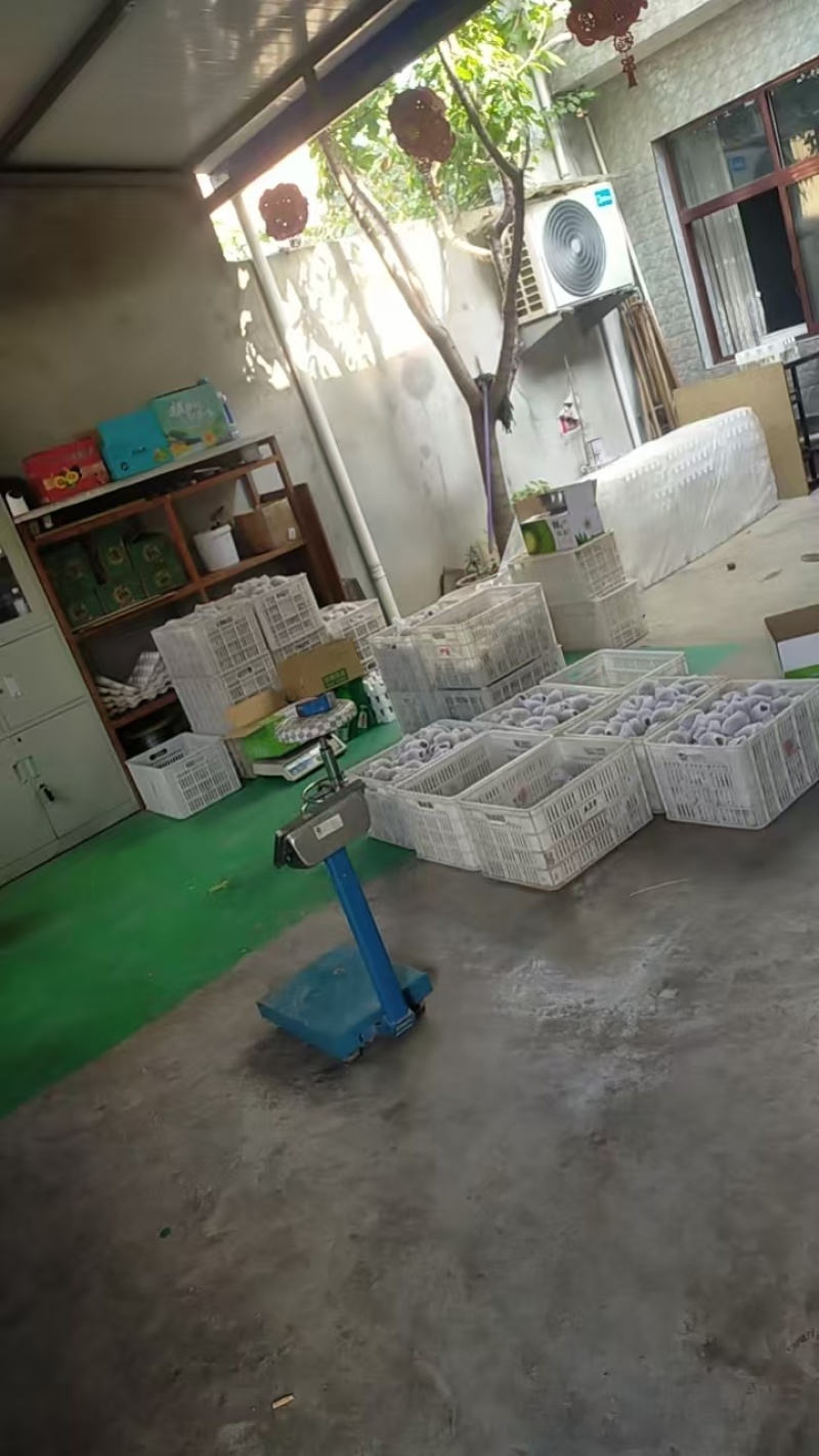 徐香猕猴桃一件代发产地直发保质保量足斤足两