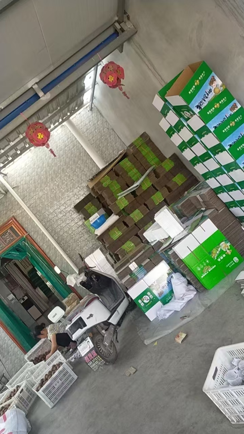 徐香猕猴桃一件代发产地直发保质保量足斤足两