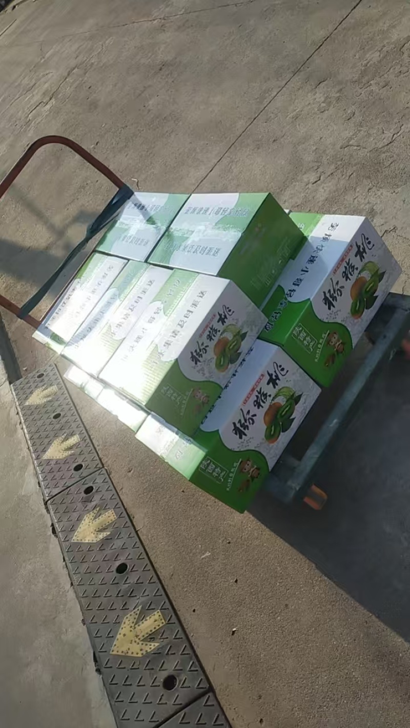 徐香猕猴桃一件代发产地直发保质保量足斤足两