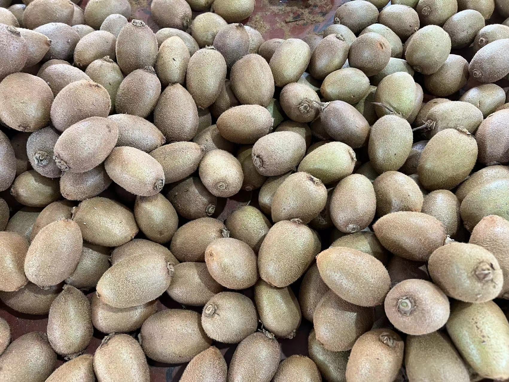 猕猴桃的起源地风光