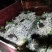 蟋蟀/干蟋蟀/冻蟋蟀应有欢迎洽谈合作保质保量