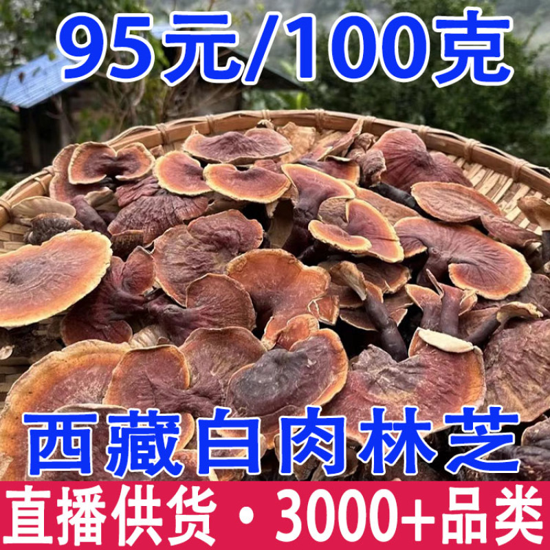 灵芝西藏白肉灵芝白肉灵芝一件代发