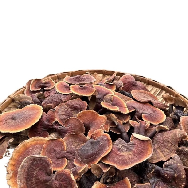 灵芝西藏白肉灵芝白肉灵芝一件代发