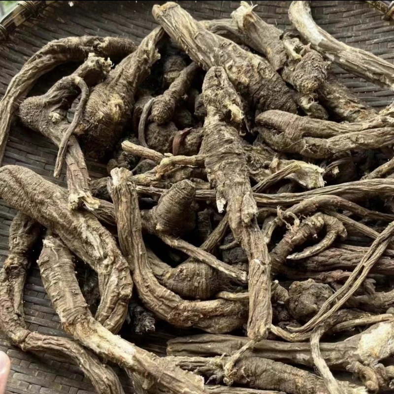 西藏当归藏当归产地货源一件代发