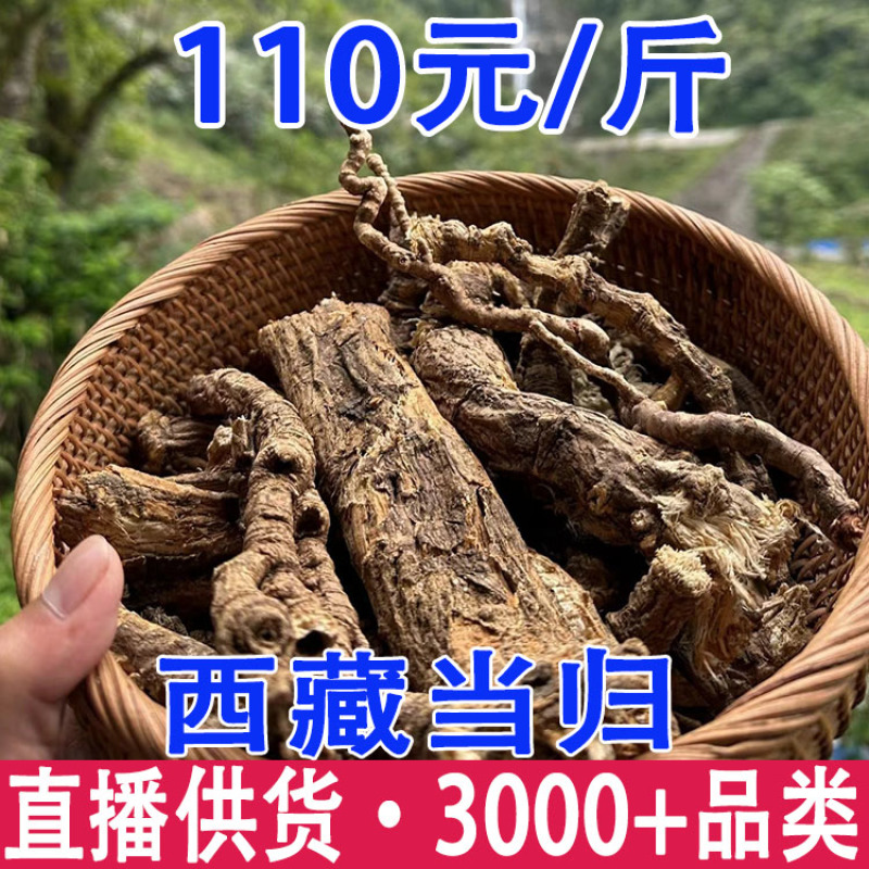 西藏当归藏当归产地货源一件代发