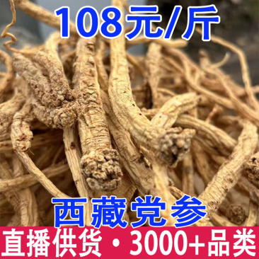西藏党参藏党参产地货源一件代发