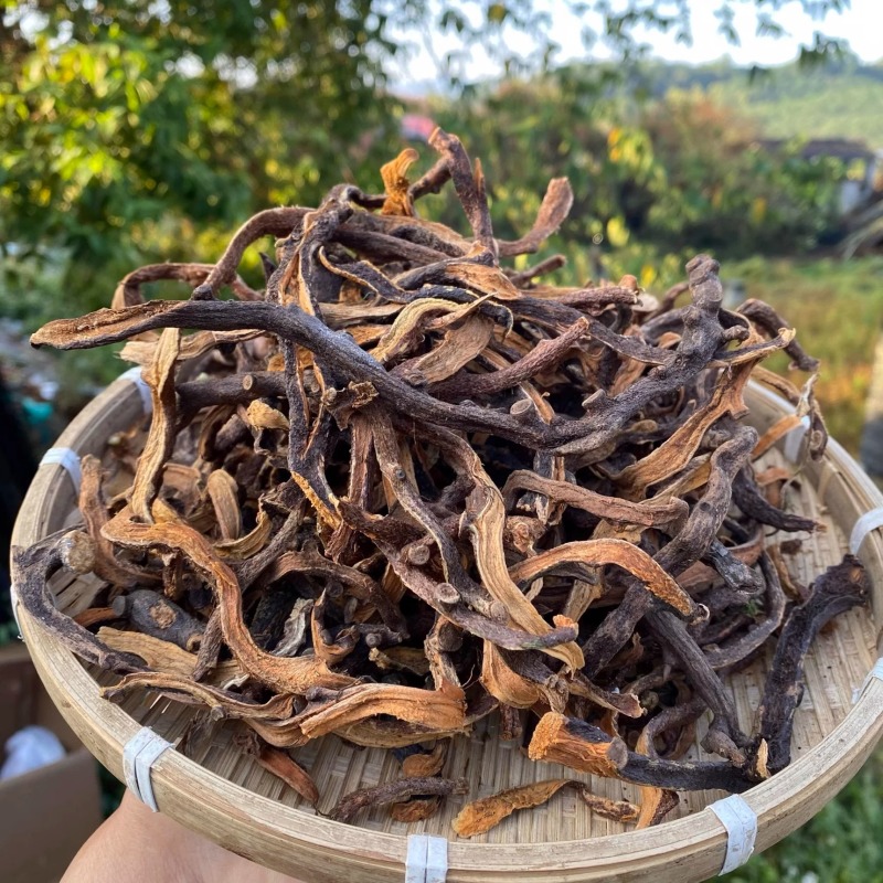 强骨草正宗强骨草产地货源一件代发