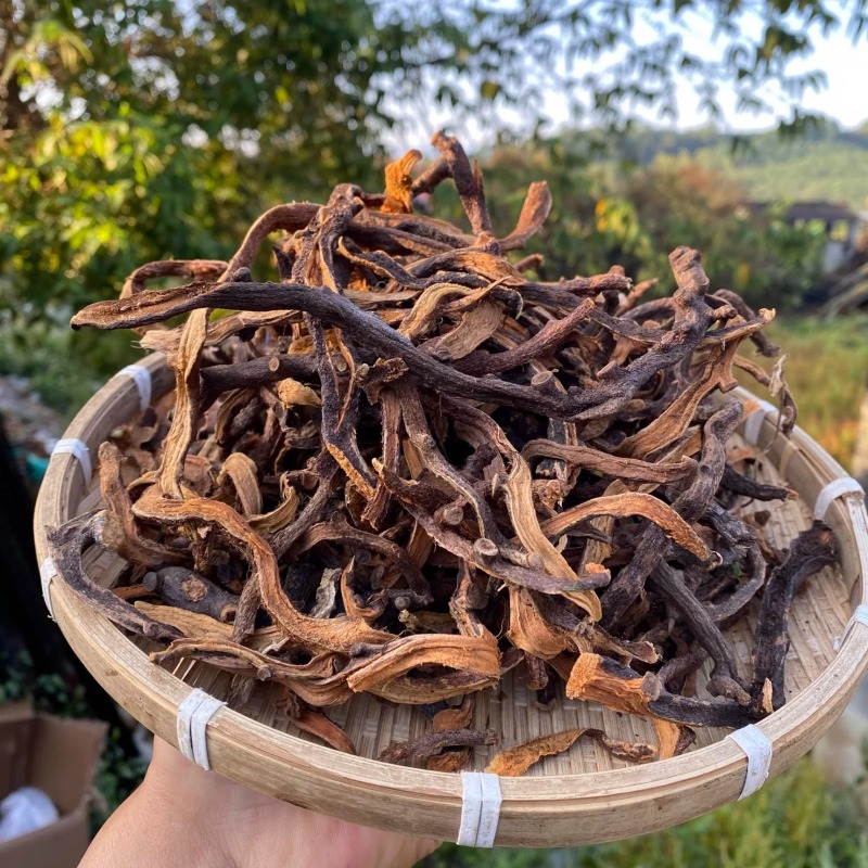 强骨草正宗强骨草产地货源一件代发