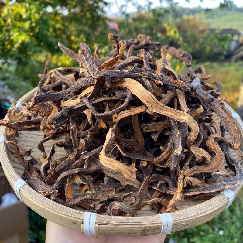 强骨草正宗强骨草产地货源一件代发