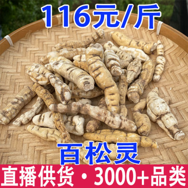 百松灵缅甸百松灵产地货源一斤代发