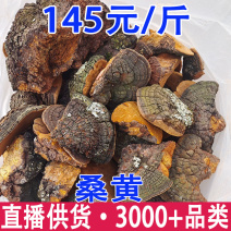 桑黄云南紫油黄批发紫油桑黄云南桑黄