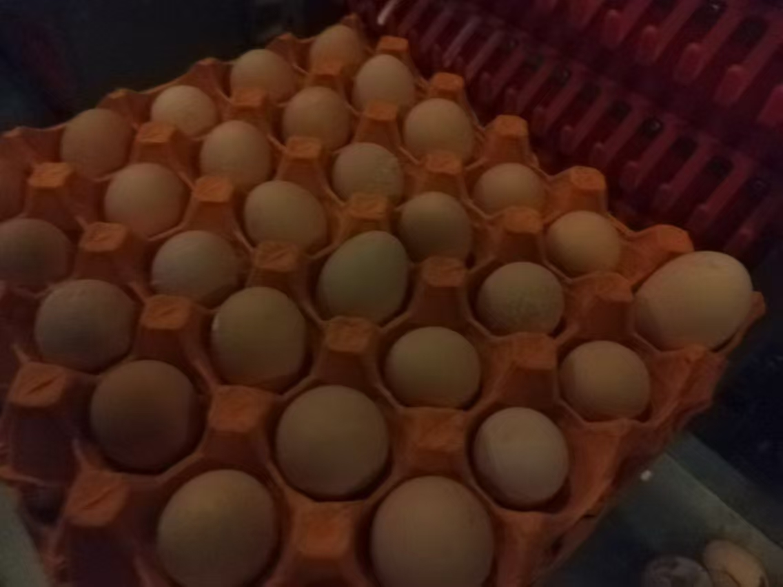 一排新鲜的棕色鸡蛋整齐排列在木制托盘中,周围有少量稻草,营造出农场直供的视觉感受 新鲜鸡蛋摆放在木质托盘上,背景为厨房环境,光线柔和,突出鸡蛋的自然质感