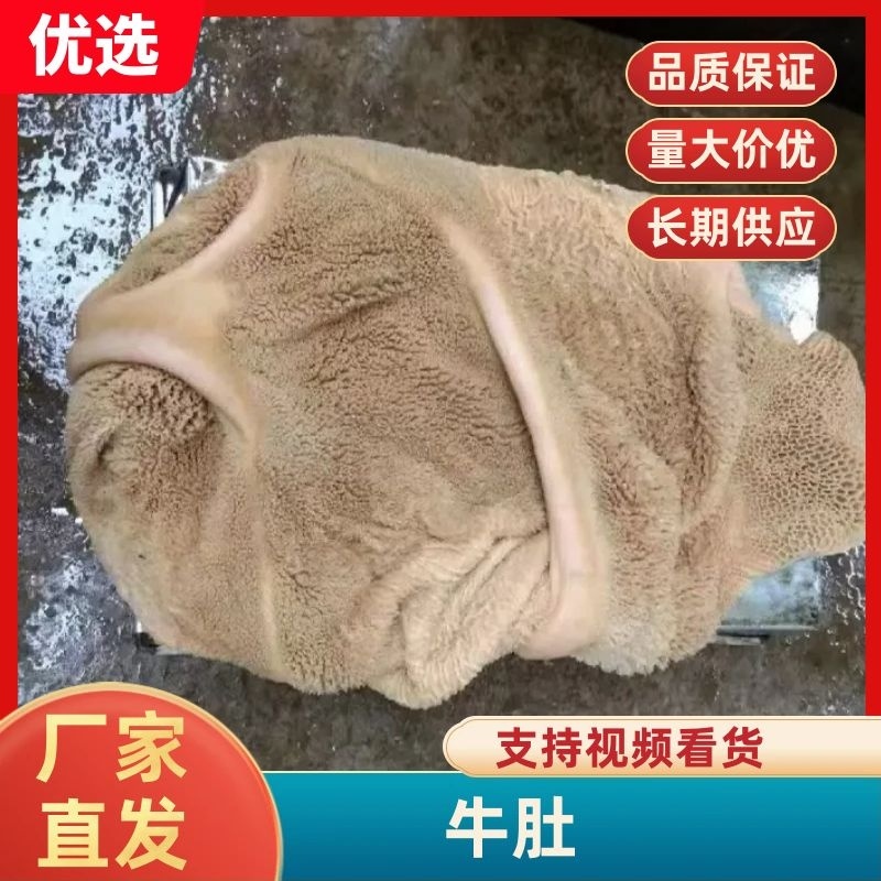 牛肚/青海牦牛肚/保质保量/量大价优/产地直发/欢迎致电