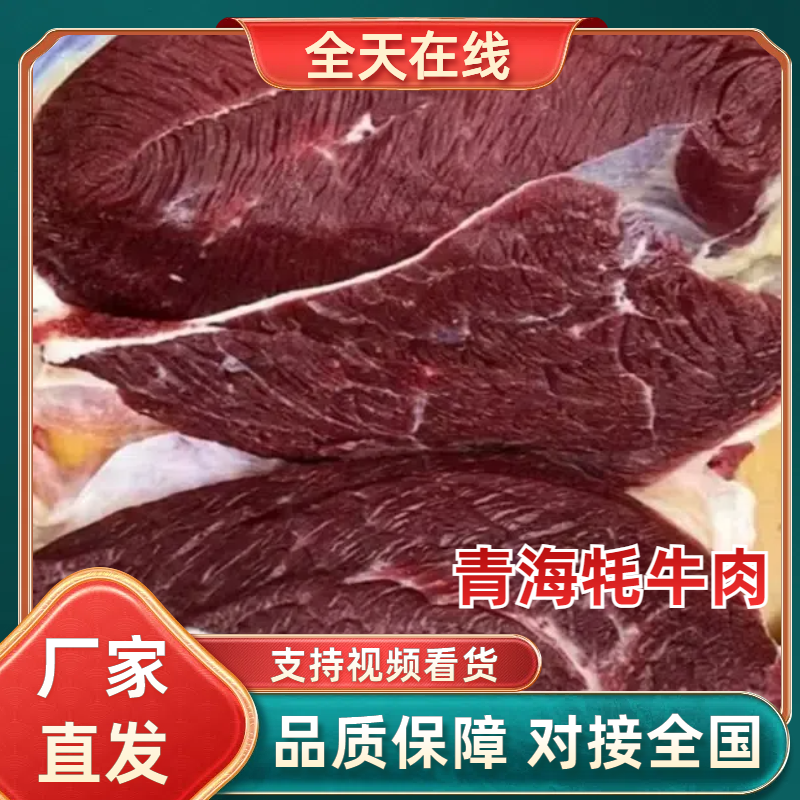 青海牦牛肉/牦牛肉/万亩草原/肉质好口感佳/产地直发