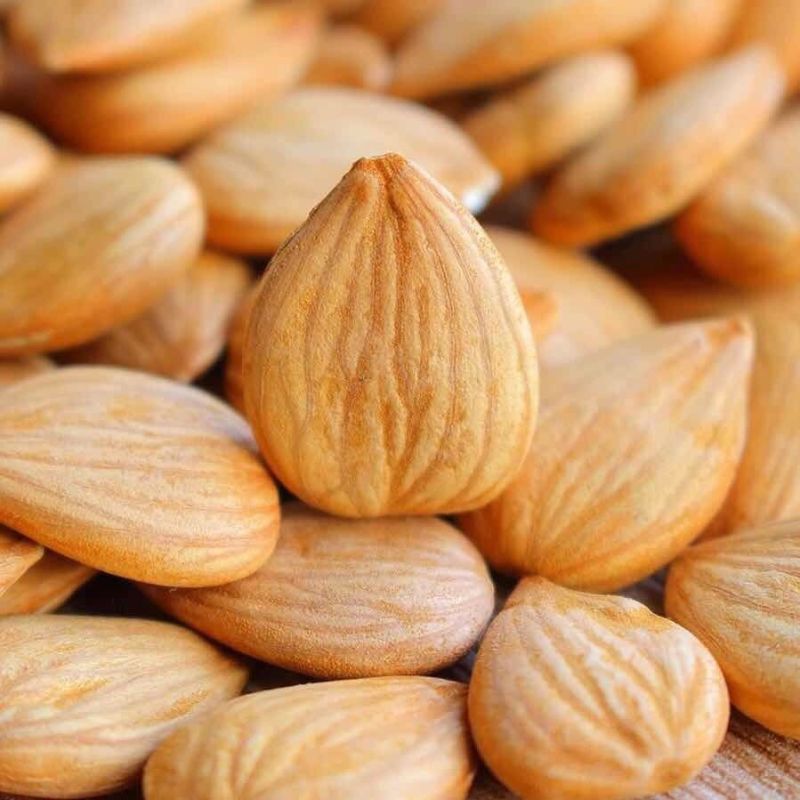 【推荐】开口杏核现货供应果仁饱满品质保证全国发货