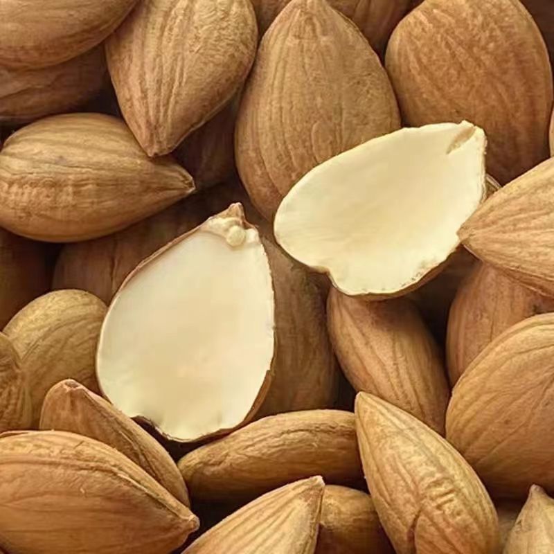 【推荐】开口杏核现货供应果仁饱满品质保证全国发货