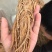 【独活】精品水洗独活，质量可靠，价格优惠，欢迎老板前来选购
