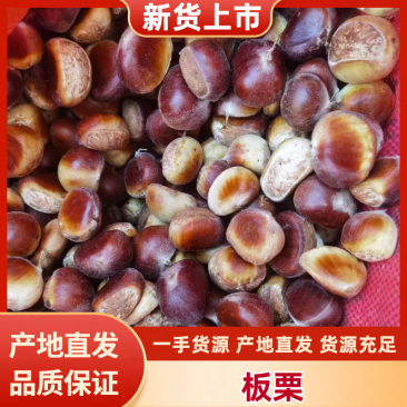 油板栗产地供货新鲜货好质量保证价格公道全国发货