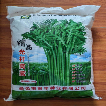 精品光杆茼蒿种子青杆产量高皇帝菜种子小叶茼蒿种子