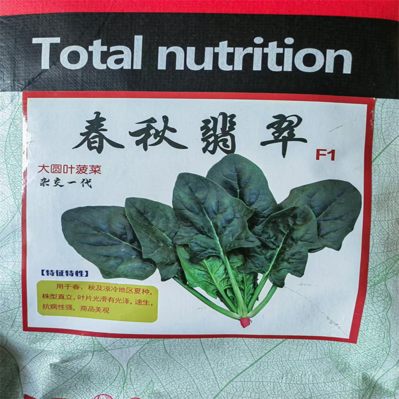 大圆叶菠菜种子杂交一代春秋翡翠菠菜种子耐热耐寒高产