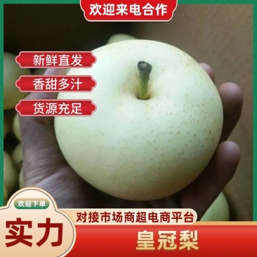 一件代发河北皇冠梨大量供应中脆甜多汁商超市场